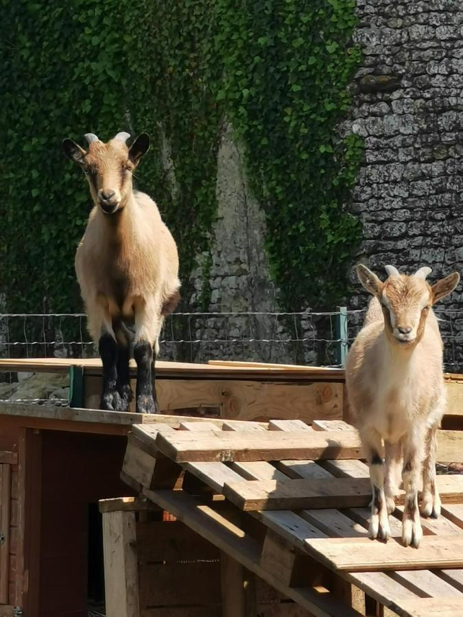 Au Domaine De Gigie Panzió Chervettes Kültér fotó